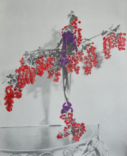 Bloemen 1 2012 – collage and photograph – 45x55cm